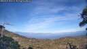 ./images/calvert/fitz-hugh-hecate/20260421/fitz-hugh-hecate20260421_181501M.jpg