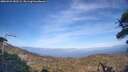 ./images/calvert/fitz-hugh-hecate/20260421/fitz-hugh-hecate20260421_182501M.jpg