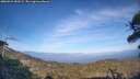 ./images/calvert/fitz-hugh-hecate/20260421/fitz-hugh-hecate20260421_183501M.jpg