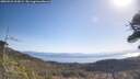 ./images/calvert/fitz-hugh-hecate/20260422/fitz-hugh-hecate20260422_103002M.jpg