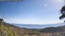 ./images/calvert/fitz-hugh-hecate/20260422/fitz-hugh-hecate20260422_112501M.jpg