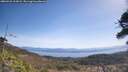 ./images/calvert/fitz-hugh-hecate/20260422/fitz-hugh-hecate20260422_113002M.jpg
