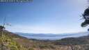 ./images/calvert/fitz-hugh-hecate/20260422/fitz-hugh-hecate20260422_113501M.jpg