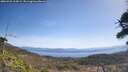./images/calvert/fitz-hugh-hecate/20260422/fitz-hugh-hecate20260422_114501M.jpg