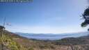 ./images/calvert/fitz-hugh-hecate/20260422/fitz-hugh-hecate20260422_115501M.jpg