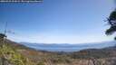 ./images/calvert/fitz-hugh-hecate/20260422/fitz-hugh-hecate20260422_121001M.jpg