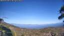./images/calvert/fitz-hugh-hecate/20260422/fitz-hugh-hecate20260422_164501M.jpg