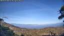./images/calvert/fitz-hugh-hecate/20260422/fitz-hugh-hecate20260422_183501M.jpg
