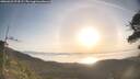 ./images/calvert/fitz-hugh-hecate/20260423/fitz-hugh-hecate20260423_074501M.jpg