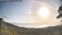 ./images/calvert/fitz-hugh-hecate/20260423/fitz-hugh-hecate20260423_083002M.jpg