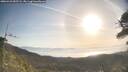 ./images/calvert/fitz-hugh-hecate/20260423/fitz-hugh-hecate20260423_083501M.jpg