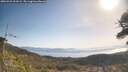 ./images/calvert/fitz-hugh-hecate/20260423/fitz-hugh-hecate20260423_101001M.jpg