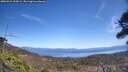 ./images/calvert/fitz-hugh-hecate/20260423/fitz-hugh-hecate20260423_132001M.jpg