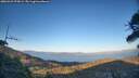 ./images/calvert/fitz-hugh-hecate/20260423/fitz-hugh-hecate20260423_195002M.jpg