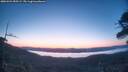 ./images/calvert/fitz-hugh-hecate/20260424/fitz-hugh-hecate20260424_055502M.jpg