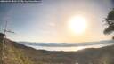 ./images/calvert/fitz-hugh-hecate/20260424/fitz-hugh-hecate20260424_081501M.jpg