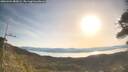 ./images/calvert/fitz-hugh-hecate/20260424/fitz-hugh-hecate20260424_083001M.jpg