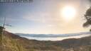 ./images/calvert/fitz-hugh-hecate/20260424/fitz-hugh-hecate20260424_090001M.jpg