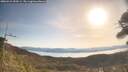 ./images/calvert/fitz-hugh-hecate/20260424/fitz-hugh-hecate20260424_090501M.jpg