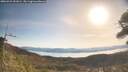 ./images/calvert/fitz-hugh-hecate/20260424/fitz-hugh-hecate20260424_091001M.jpg