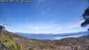 ./images/calvert/fitz-hugh-hecate/20260424/fitz-hugh-hecate20260424_140001M.jpg
