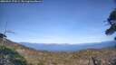 ./images/calvert/fitz-hugh-hecate/20260424/fitz-hugh-hecate20260424_173501M.jpg