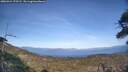 ./images/calvert/fitz-hugh-hecate/20260424/fitz-hugh-hecate20260424_175501M.jpg