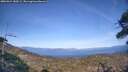 ./images/calvert/fitz-hugh-hecate/20260424/fitz-hugh-hecate20260424_180501M.jpg