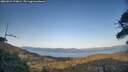 ./images/calvert/fitz-hugh-hecate/20260424/fitz-hugh-hecate20260424_194001M.jpg