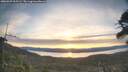 ./images/calvert/fitz-hugh-hecate/20260425/fitz-hugh-hecate20260425_065501M.jpg