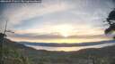 ./images/calvert/fitz-hugh-hecate/20260425/fitz-hugh-hecate20260425_071001M.jpg