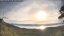 ./images/calvert/fitz-hugh-hecate/20260425/fitz-hugh-hecate20260425_075501M.jpg