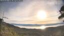./images/calvert/fitz-hugh-hecate/20260425/fitz-hugh-hecate20260425_080001M.jpg
