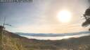 ./images/calvert/fitz-hugh-hecate/20260425/fitz-hugh-hecate20260425_083501M.jpg