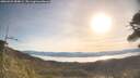 ./images/calvert/fitz-hugh-hecate/20260425/fitz-hugh-hecate20260425_084001M.jpg