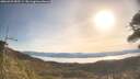 ./images/calvert/fitz-hugh-hecate/20260425/fitz-hugh-hecate20260425_085501M.jpg