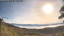 ./images/calvert/fitz-hugh-hecate/20260425/fitz-hugh-hecate20260425_090001M.jpg
