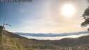./images/calvert/fitz-hugh-hecate/20260425/fitz-hugh-hecate20260425_091001M.jpg
