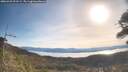 ./images/calvert/fitz-hugh-hecate/20260425/fitz-hugh-hecate20260425_091501M.jpg