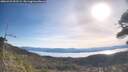 ./images/calvert/fitz-hugh-hecate/20260425/fitz-hugh-hecate20260425_092502M.jpg