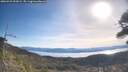 ./images/calvert/fitz-hugh-hecate/20260425/fitz-hugh-hecate20260425_093001M.jpg