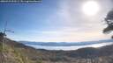 ./images/calvert/fitz-hugh-hecate/20260425/fitz-hugh-hecate20260425_093501M.jpg