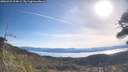 ./images/calvert/fitz-hugh-hecate/20260425/fitz-hugh-hecate20260425_094001M.jpg