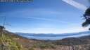./images/calvert/fitz-hugh-hecate/20260425/fitz-hugh-hecate20260425_114001M.jpg