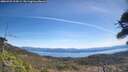 ./images/calvert/fitz-hugh-hecate/20260425/fitz-hugh-hecate20260425_114501M.jpg