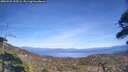 ./images/calvert/fitz-hugh-hecate/20260425/fitz-hugh-hecate20260425_155502M.jpg