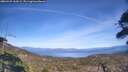 ./images/calvert/fitz-hugh-hecate/20260425/fitz-hugh-hecate20260425_160501M.jpg