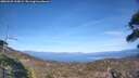 ./images/calvert/fitz-hugh-hecate/20260425/fitz-hugh-hecate20260425_165002M.jpg