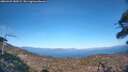 ./images/calvert/fitz-hugh-hecate/20260425/fitz-hugh-hecate20260425_180501M.jpg