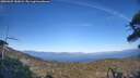 ./images/calvert/fitz-hugh-hecate/20260425/fitz-hugh-hecate20260425_183001M.jpg